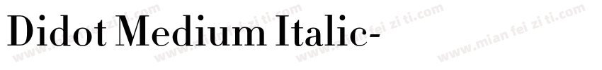 Didot Medium Italic字体转换